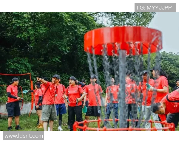 飞盘运动护具选购指南：保护你的每一次投掷与接盘体验
