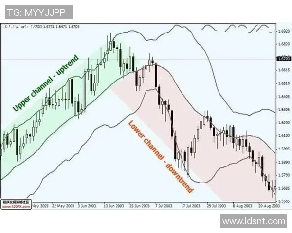 伐木者与哥伦布的未来对决预测及其背后的深层意义探讨