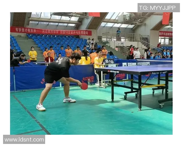 北京乒乓球队如何通过节奏革新提升竞技水平与团队协作能力