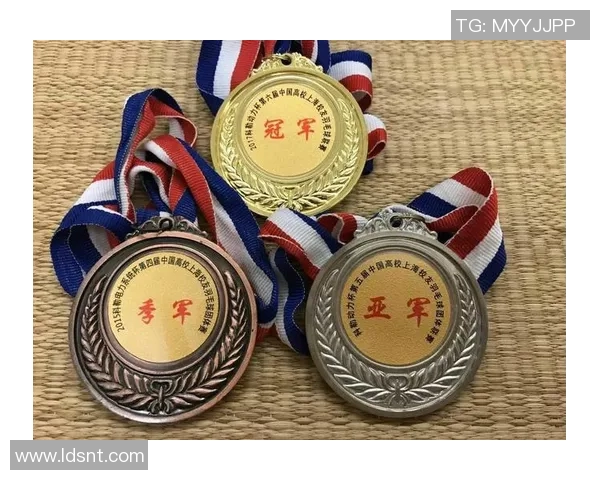 上海羽毛球队反击战术解析与训练深度探讨